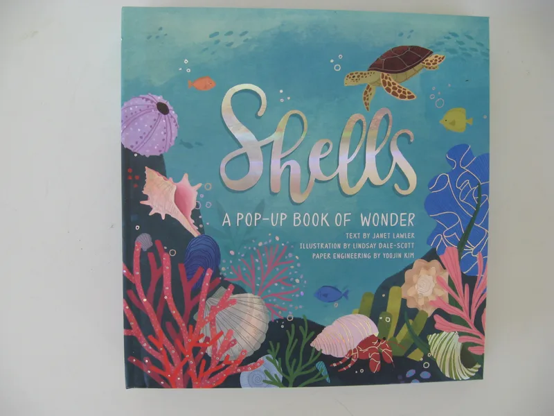 "Shells"  A pop-up book   9" x 9"