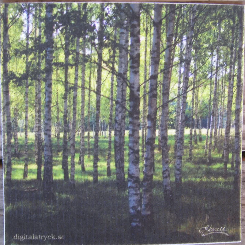 Swedish screen printed dish cloth "birches in the glade"