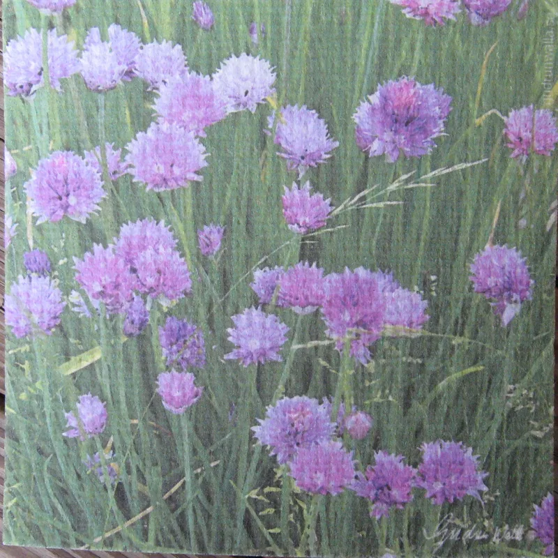 Swedish screen printed dishwashing sponge/dish cloth, "Chives"