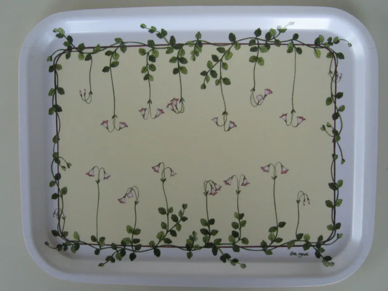Linnea tray   14" x 11"  laminated wood  Made in Sweden