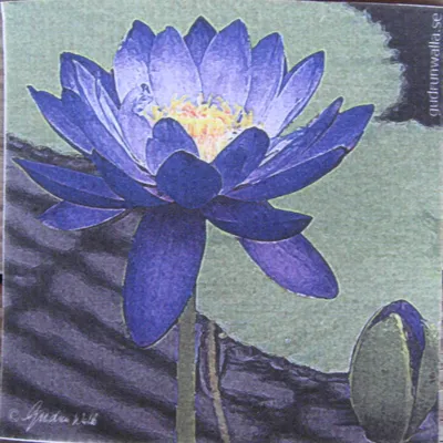 Swedish Screen Printed Dishwashing Sponge/ dish cloth Water Lily