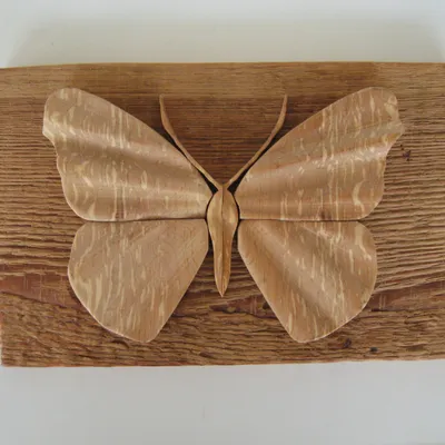 "Butterfly" by Gunnar Kanevad; world famous Swedish wood sculptor 9" x 8" distressed birch